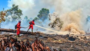 Palm Oil Magazine