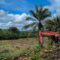 Palm Oil Magazine