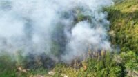 West Kalimantan Wildfires Recur, Link-AR Borneo Calls for Review of Palm Oil Expansion