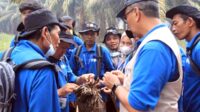 176 OKU Smallholders Receive Palm Oil Cultivation Training to Boost Productivity Palm Oil Magazine