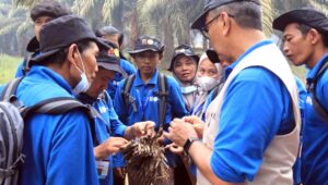 Palm Oil Magazine