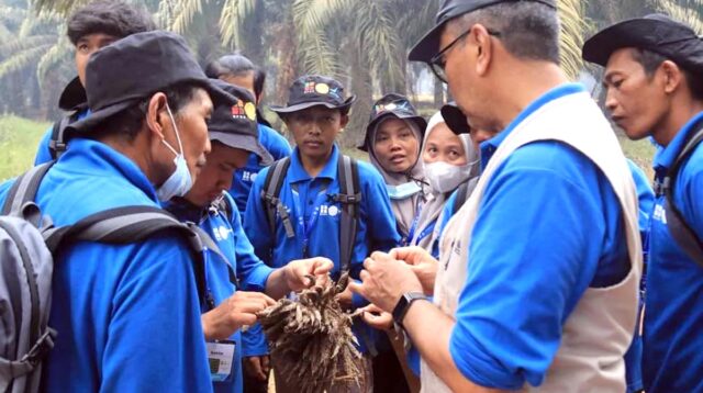 Palm Oil Magazine