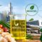 Palm Oil Magazine
