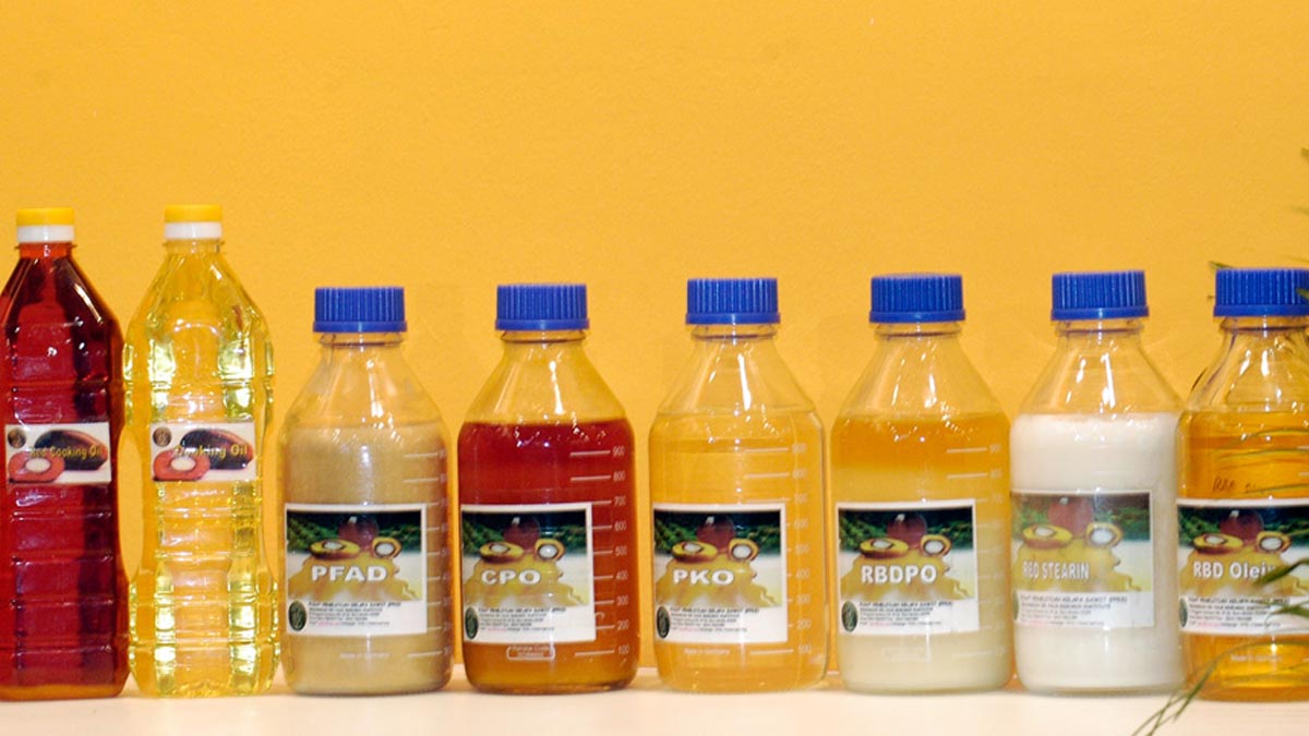 KPBN Inacom CPO Price Rises to IDR 14,988/kg on Thursday (Oct. 15), Rotterdam CPO at US$1,570 Palm Oil Magazine
