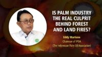Is Palm Industry The Real Culprit Behind Forest and Land Fires? Palm Oil Magazine