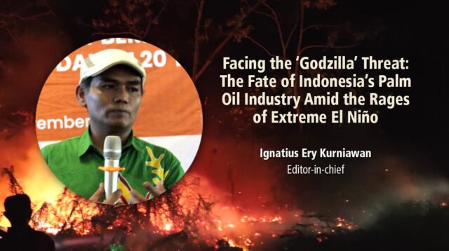 Palm Oil Magazine