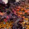Palm Oil Magazine