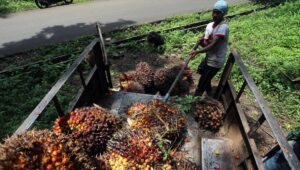 Palm Oil Magazine