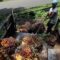 Palm Oil Magazine
