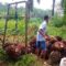 Palm Oil Magazine
