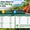 Palm Oil Magazine