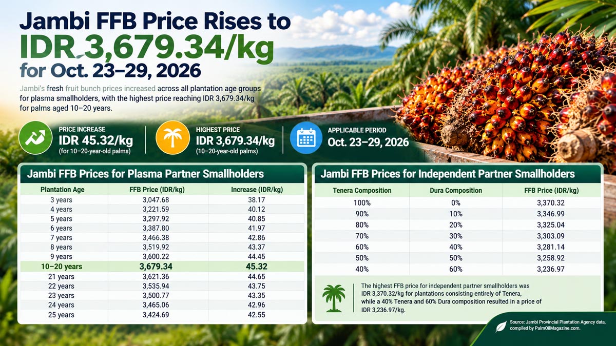 Palm Oil Magazine