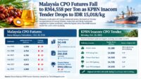 Palm Oil Magazine